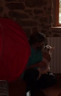 F : TEST DE CHIOT / PUPPY TEST