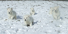 F: come on , time to play !!